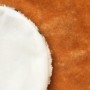 Alfombra afelpada de león 205 cm marrón | Foro24.es | Tu tienda online para hogar, jardín y más Foro24.es