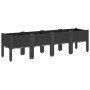 Jardinera con patas PP negro 160x40x42 cm by , Pots and planters - Ref: Foro24-367903, Price: 94,28 €, Discount: %