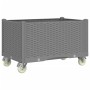 Jardinera con ruedas PP gris claro 80x50x54 cm | Foro24.es | Tu tienda online para hogar, jardín y más Foro24.es