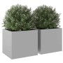 Jardineras 2 unidades acero corten plateado 32x30x29 cm by , Pots and planters - Ref: Foro24-841546, Price: 47,29 €, Discount: %