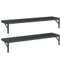 Estantes de pared 2 uds acero inoxidable negro 100x23,5 cm