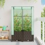 Arriate con cubierta invernadero aspecto ratán 80x40x138 cm de , Maceteros y jardineras - Ref: Foro24-4015800, Precio: 68,45 ...