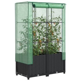 Comprar Arriate con cubierta invernadero aspecto