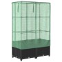 Arriate con cubierta invernadero aspecto ratán 80x40x138 cm | Foro24.es | Tu tienda online para hogar, jardín y más Foro24.es