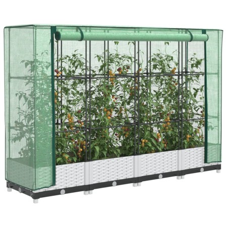 Arriate con cubierta invernadero aspecto ratán 160x40x123 cm | Foro24.es | Tu tienda online para hogar, jardín y más Foro24.es