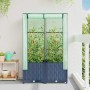 Arriate con cubierta invernadero aspecto ratán 80x40x138 cm by , Pots and planters - Ref: Foro24-4015828, Price: 68,11 €, Dis...