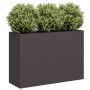 Jardinera de acero laminado en frío negro 120x40x80 cm by , Pots and planters - Ref: Foro24-860717, Price: 182,37 €, Discount: %