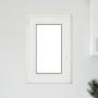 Ventana de sótano "RISOR" 50x75 cm oscilobatiente DIN izquierda antracita | Foro24.es | Tu tienda online para hogar, jardín y más Foro24.es