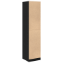 Armario de Boticario Roble Negro 40x41x174.5 cm Madera de Ingeniería de , Taquillas y armarios de almacenamiento - Ref: Foro2...