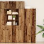 Gabinete Delgado Madera Vieja 30x42.5x225 cm Madera Ingenierizada de , Aparadores - Ref: Foro24-3365627, Precio: 158,09 €