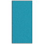 Felpudo Lavable Cian 120x250 cm de , Felpudos - Ref: Foro24-4100749, Precio: 120,40 €, Descuento: %