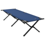 Cama Sol Plegable con Bolsa de Transporte Azul Tejido Oxford 600D | Foro24.es | Tu tienda online para hogar, jardín y más Foro24.es