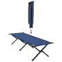 Cama Sol Plegable con Bolsa de Transporte Azul Tejido Oxford 600D | Foro24.es | Tu tienda online para hogar, jardín y más Foro24.es