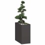 Jardinera acero negro 40x80x80 cm de , Maceteros y jardineras - Ref: Foro24-860773, Precio: 107,18 €, Descuento: %