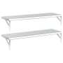 Estantes de pared 2 uds acero inoxidable plateado 100x30 cm