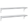 Estantes de pared 2 uds acero inoxidable plateado 100x23,5 cm