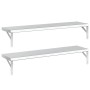 Estantes de pared 2 uds acero inoxidable plateado 100x23,5 cm