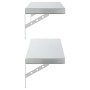 Estantes de pared 2 uds acero inoxidable plateado 100x23,5 cm