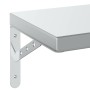 Estantes de pared 2 uds acero inoxidable plateado 100x23,5 cm