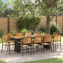 Set de Comedor de Jardín de 11 Piezas Negro Poliratán Acacia