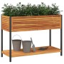 Jardinera con estante madera maciza acacia y acero 110x45x80 cm