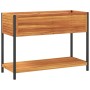 Jardinera con estante madera maciza acacia y acero 110x45x80 cm