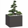 Jardinera acero negro 100x100x80 cm de , Maceteros y jardineras - Ref: Foro24-860822, Precio: 151,83 €, Descuento: %
