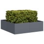 Jardinera acero gris antracita 100x100x30 cm | Foro24.es | Tu tienda online para hogar, jardín y más Foro24.es