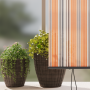 Cortina de Rodillo Exterior Amarillo y azul 200 x 250 cm tela