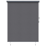 Cortina de Rodillo Exterior Rayado Manual Antracita 200 x 250