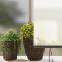 Cortina de Rodillo Exterior Rayado Manual Ajustable Crema 220 x