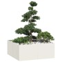 Jardinera acero blanco 100x100x40 cm