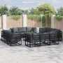 Conjunto de sofá de jardín 12 pcs Negro 213 x 71.5 x 71 cm