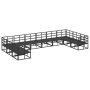 Conjunto de sofá de jardín 10 pcs Negro 423 x 213 x 71 cm