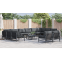 Conjunto de sofá de jardín 13 pcs Antracita Acero