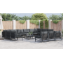 Conjunto de sofá de jardín 14 pcs Antracita Acero