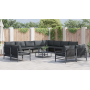 Conjunto de sofá de jardín 13 pcs Antracita Acero