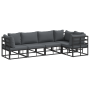 Conjunto de sofá de jardín 5 pcs Negro 283 x 143 x 71 cm