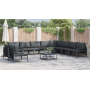 Conjunto de sofá de jardín 10 pcs Antracita Acero