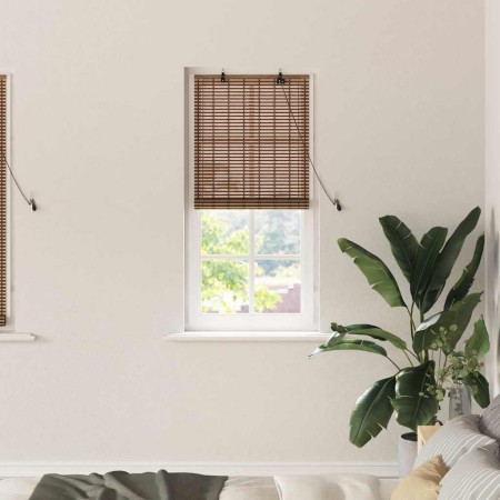Persianas y Toldos para Ventanas Marrón 60 x 160 cm Bambú