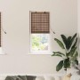 Persianas y Toldos para Ventanas Marrón 60 x 160 cm Bambú