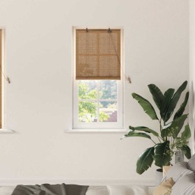 Persianas y Toldos para Ventanas Marrón Claro 60 x 160 cm Bambú