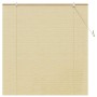 Persianas y Toldos para Ventanas Natural 140 x 160 cm Bambú