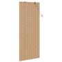 Persianas y Cortinas de Ventana Marrón Claro 100 x 220 cm Bambú