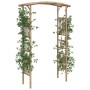 Bamboo rose arch 118x40x187 cm by vidaXL, Pergolas, arches and garden trellises - Ref: Foro24-341746, Price: 146,85 €, Discou...