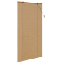 Persianas y Toldos para Ventanas Marrón Claro 100 x 220 cm