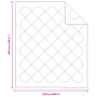 Colchas y Duvets Blanco 260 x 220 cm Microfibra
