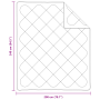 Colchas y Duvets Blanco 240 x 200 cm Microfibra