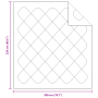 Colchas y Duvets Blanco 200 x 220 cm Microfibra