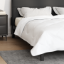 Colchas y Duvets Blanco 200 x 220 cm Microfibra